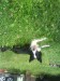 DSC00390.JPG